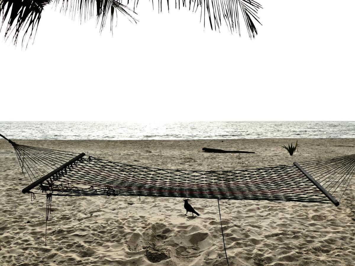 מאראריקולם Marari Sealap Beach Villas מראה חיצוני תמונה